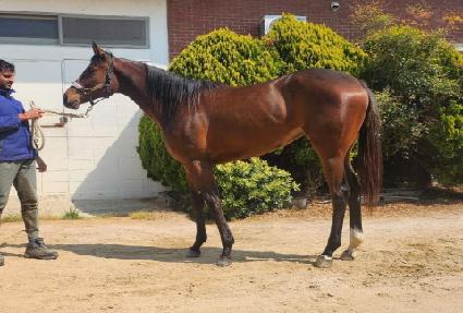 �۷θ������� ����