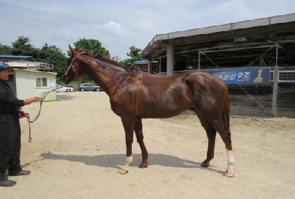 �±ؿ��� ����