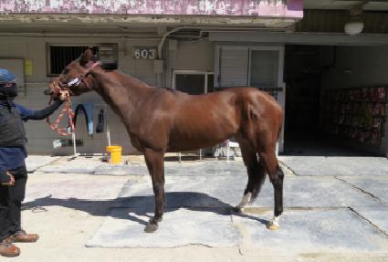 ��Ŭ�������� ����