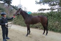 û������ (CHEONGGANG YEOREUM) ����