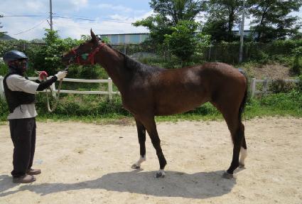 ����Ÿ�̰� ����