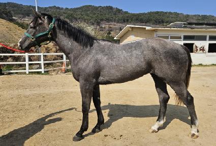 ����è�� ����