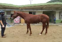 �׷��̽����� (GRACE DAY) ����