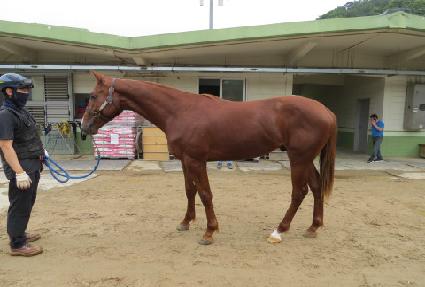 �׷��̽����� ����