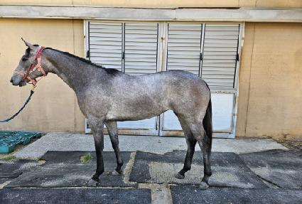 �����̰��� ����