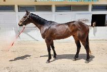 ���÷����� (ONE PLUS ONE) ����