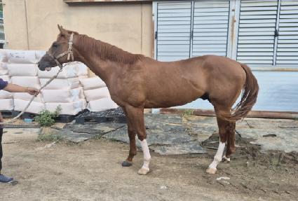 �»��ȭ ����