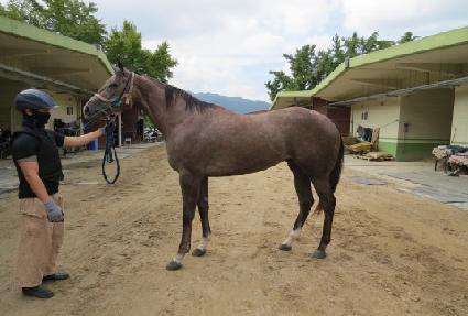 �������� ����