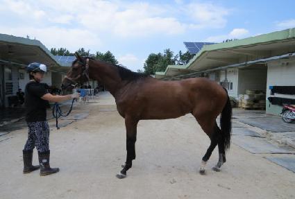 �ֵθ��� ����