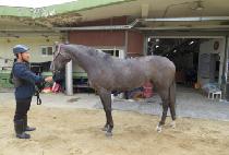 �ö��׽���Ʈ (FLYING SMART) ����