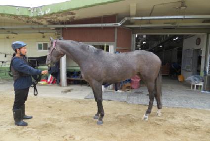 �ö��׽���Ʈ ����