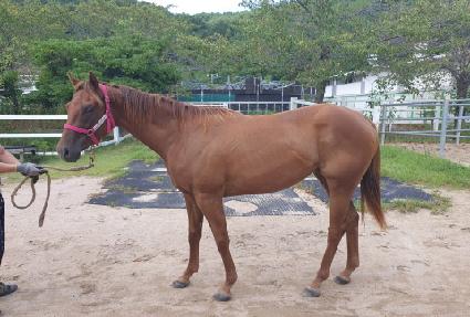 ��Ʈ���� ����