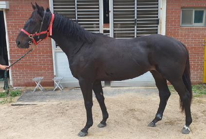 Ŀ��Ʈ���� ����