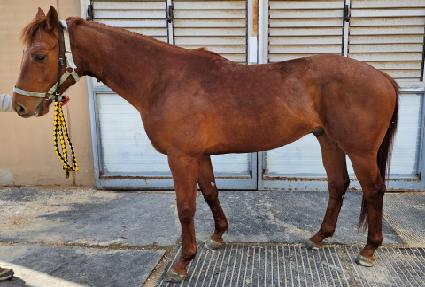 ���º��� ����