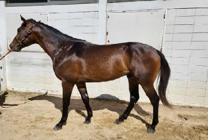 ������ŷ�� ����