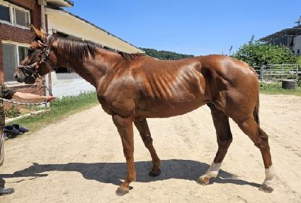 ���Ÿ����̽� ����