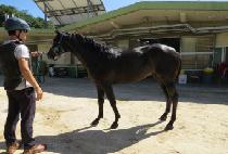 �ż��Լ� (GEOSEN HAMSEONG) ����