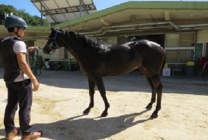 �ż��Լ� ����