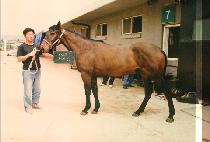 �ʴ��� (CHO DAE JANG) ����