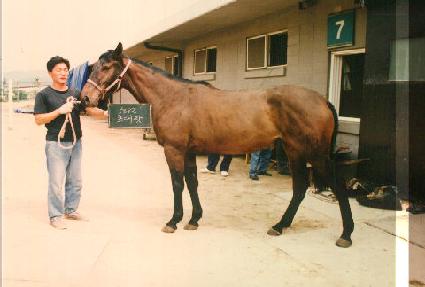 �ʴ��� ����