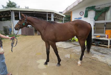 ��Ÿ�̱� ����