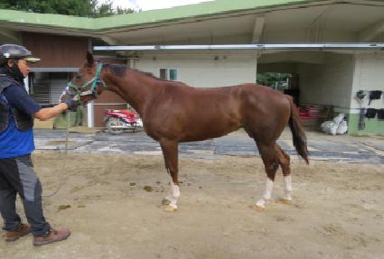 ���۽����� ����