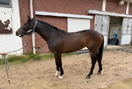 ������Ʈ ����