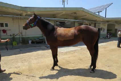 ���۵��� ����