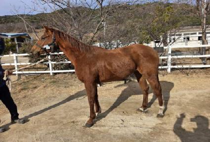 �׸�ȭ��Ʈ ����