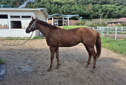 ������õ�� ����