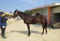 ���͸���ũ (BATTERY PARK) ����