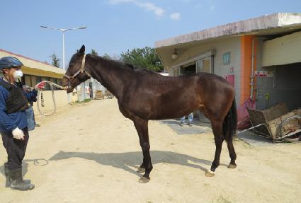 ���͸���ũ ����