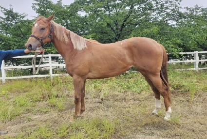 ��Ʈ���� ����