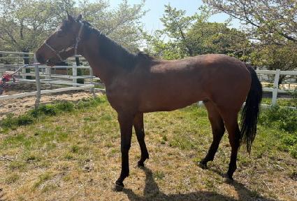 �̽����÷��� ����