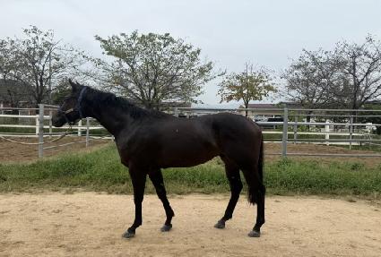 ���ϵ帮�� ����