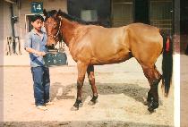 ������ (KAE BONG KWAN) ����