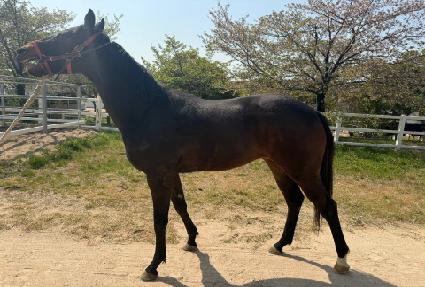 ���ÿ��ϵ� ����