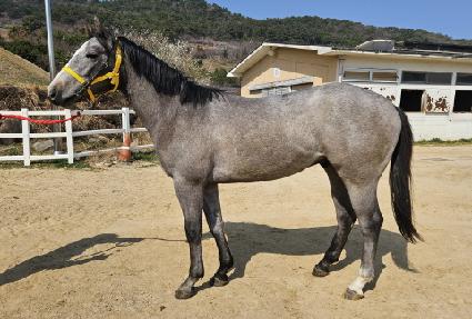 ���Ϳ��̽� ����