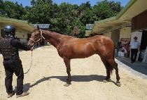 ����ġ (GOLDEN MATCH) ����