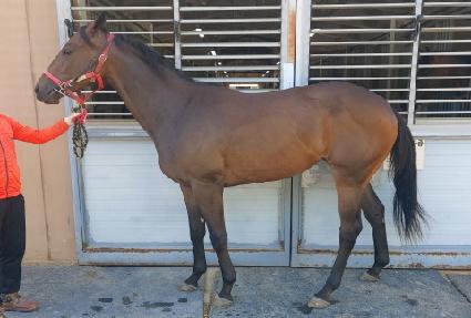 Ʈ�������� ����