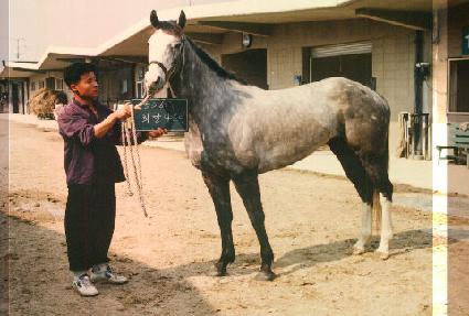 ������帮 ����