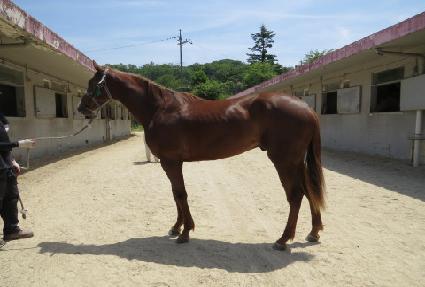 �ĵ彴�� ����