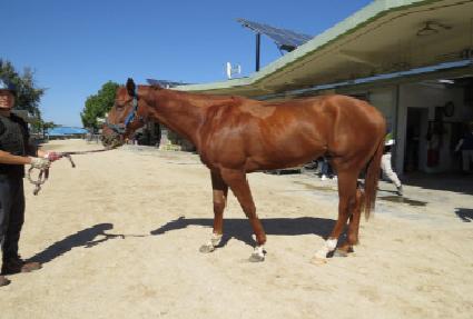 �����Ͽ��� ����