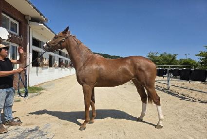 ����Ʈ�� ����