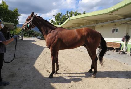 ��������� ����