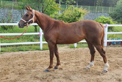 �뼺�϶� ����