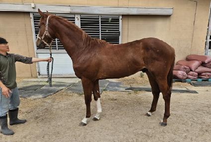 �ְ�ġŸ ����