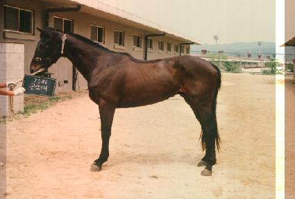 ������ ����