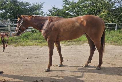 �ǽ����� ����