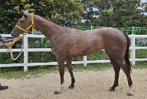 �����̽��Ǹ� (B K. SPIRIT) ����